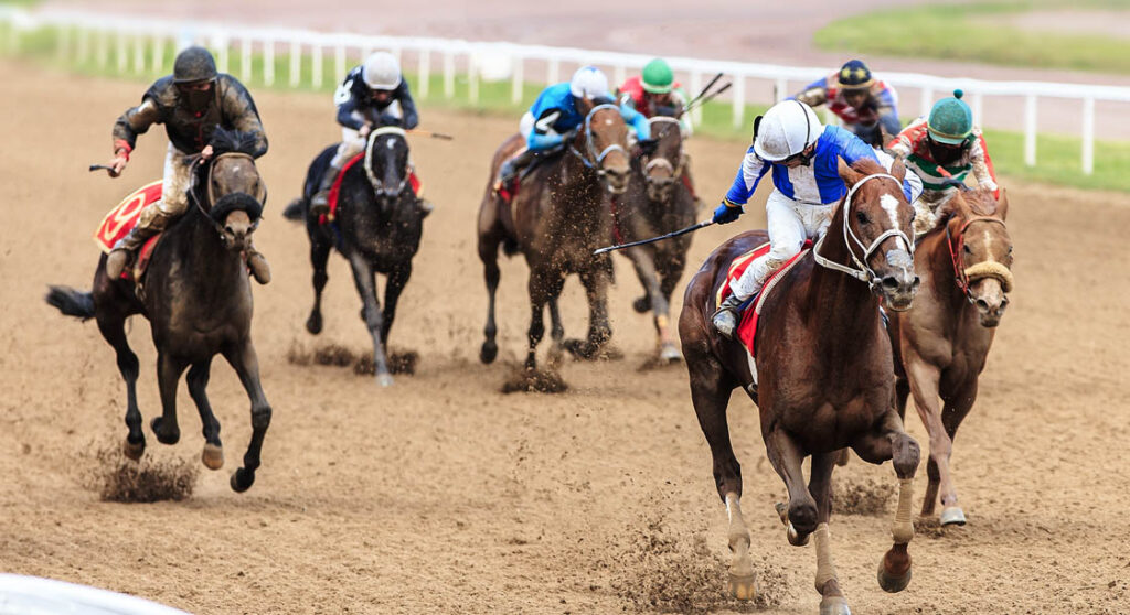 Live Racing at Turfway Park Racing & Gaming